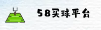 使用指南与常见问题